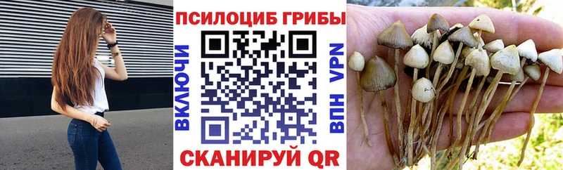 Галлюциногенные грибы Psilocybe даркнет сайт Орехово-Зуево